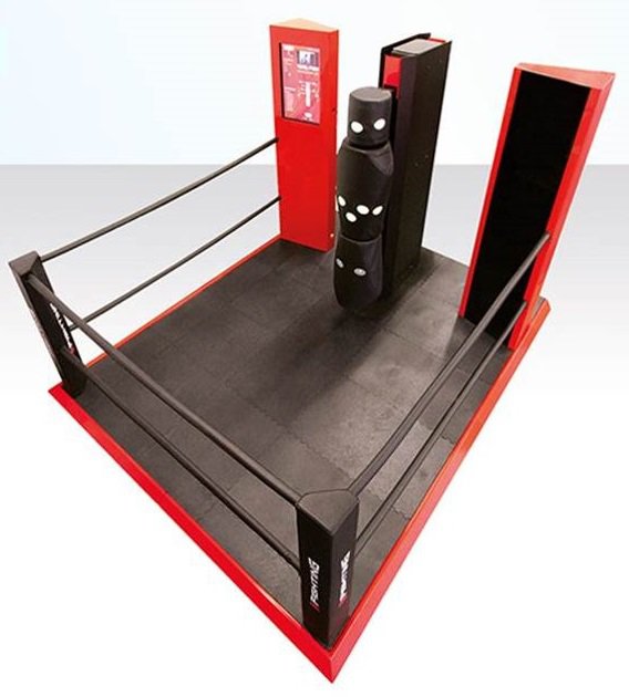 eFighting Ring