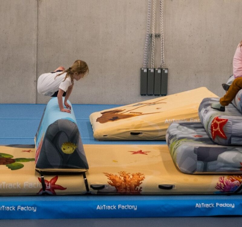 AirExperience chez Ludifit